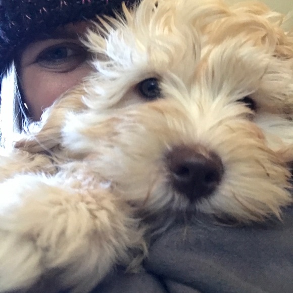 Meet your Posher - Picture 1 of 1